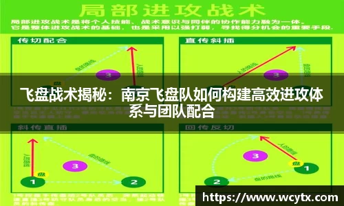 飞盘战术揭秘：南京飞盘队如何构建高效进攻体系与团队配合